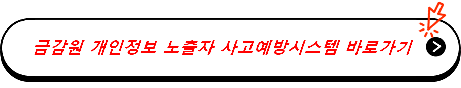 금융감독원 개인정보 노출자 사고예방시스템