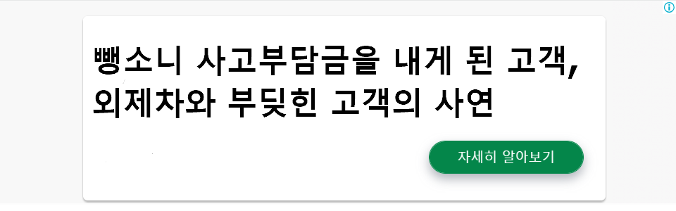 뺑소니 사고부담금을 내게 된 고객, 외제차와 부딪힌 고객의 사연