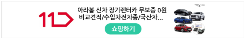 렌터카 자격 기준 및 조건