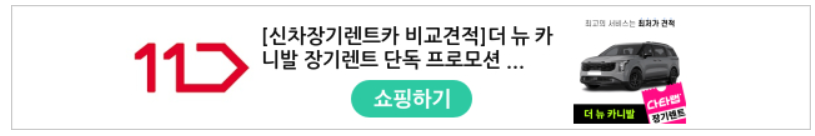 신차장기렌트카 비교견적 