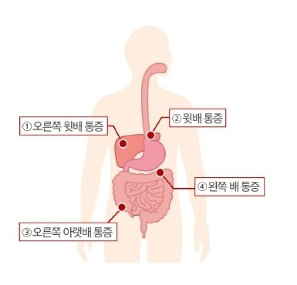 복통의 위치와 증상에 따라 주로 발생하는 질환